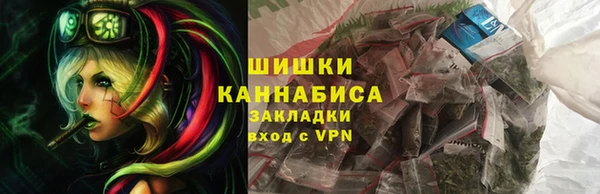 индика Покровск