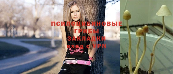 бошки Абдулино