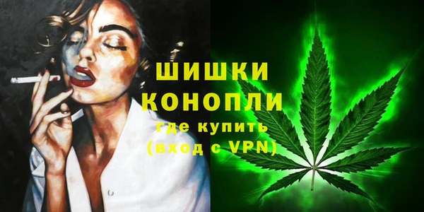 индика Покровск
