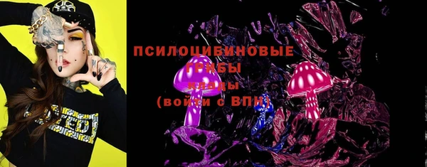 PSILOCYBIN Абаза