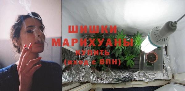 PSILOCYBIN Абаза